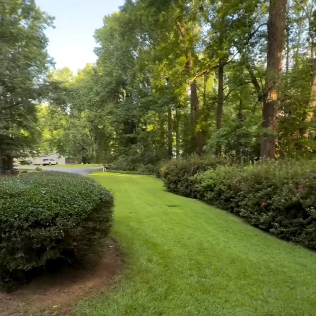 Clean lawn path between trimmed shrub beds