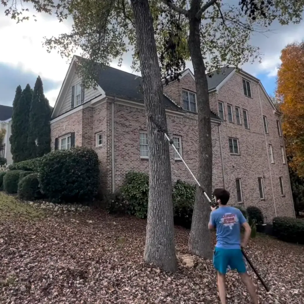 Pole-saw limbing beside a brick home